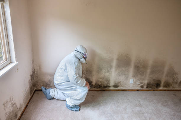 Asbestos and Lead Testing During Mold Inspection in Bethlehem Village, CT